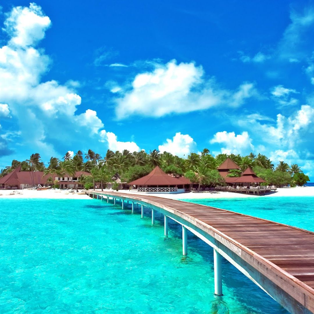 BOTOGA Y SAN ANDRES